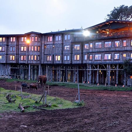 Treetops Mweiga Bagian luar foto