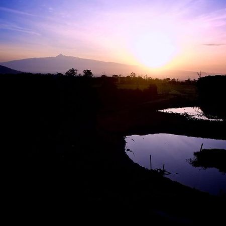 Treetops Mweiga Bagian luar foto