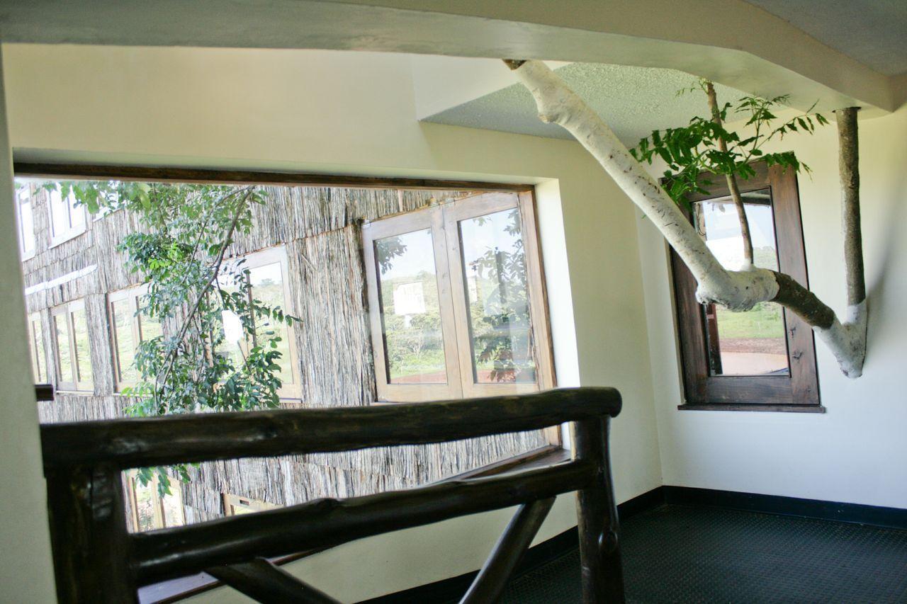 Treetops Mweiga Bagian luar foto