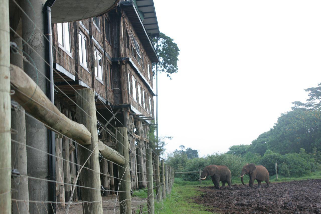 Treetops Mweiga Bagian luar foto