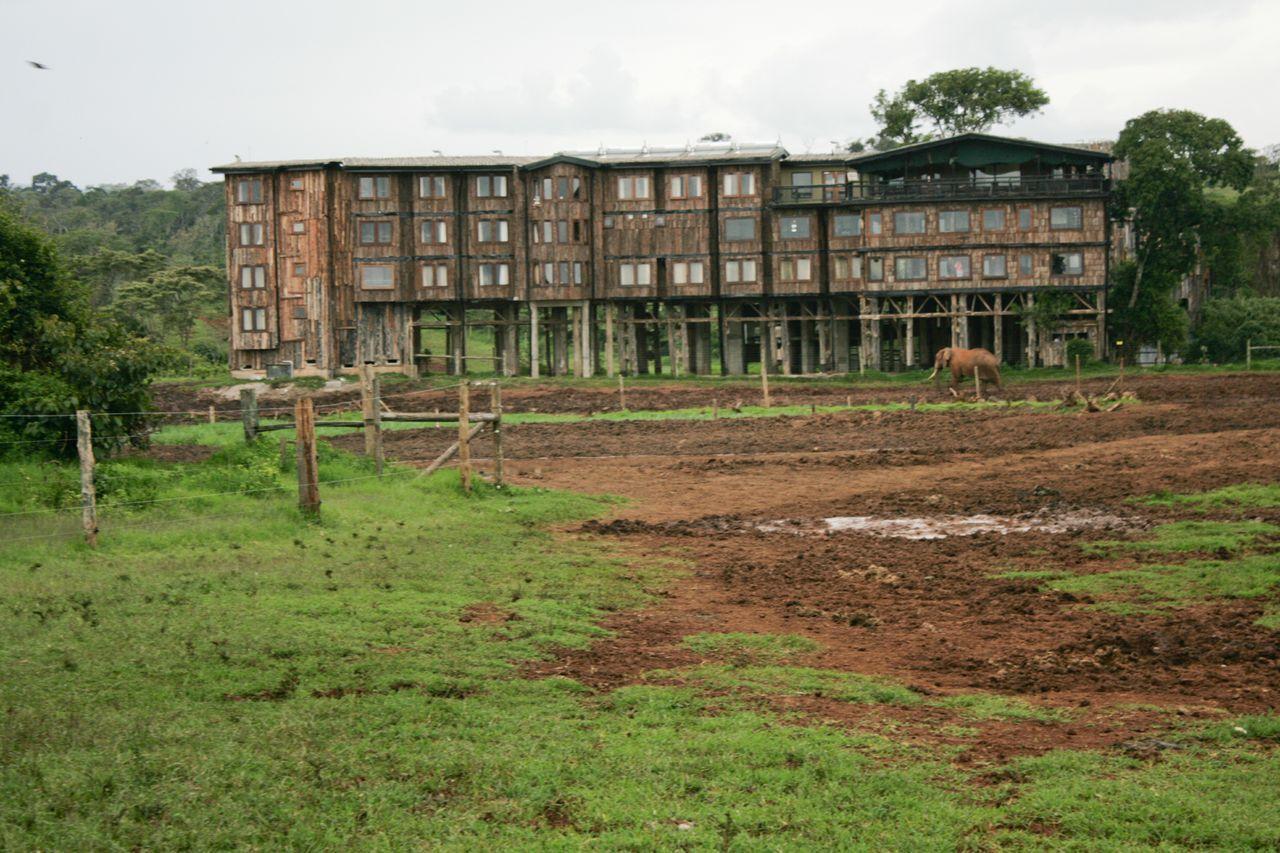 Treetops Mweiga Bagian luar foto