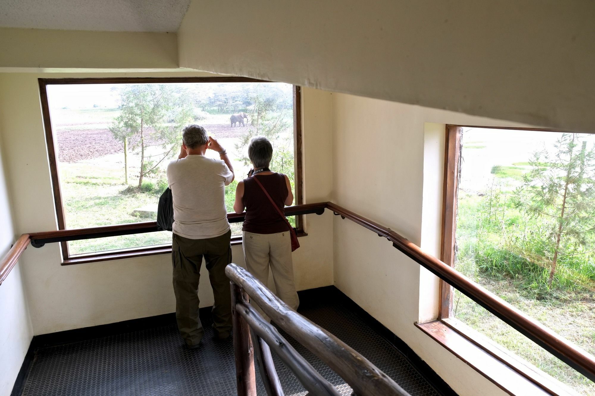 Treetops Mweiga Bagian luar foto